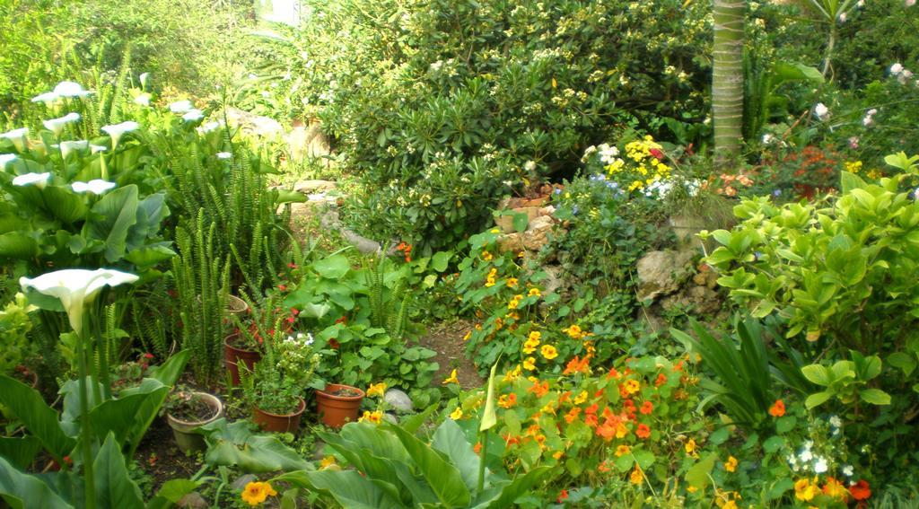 Il Glicine La Piana Dei Colli Bed & Breakfast 3*