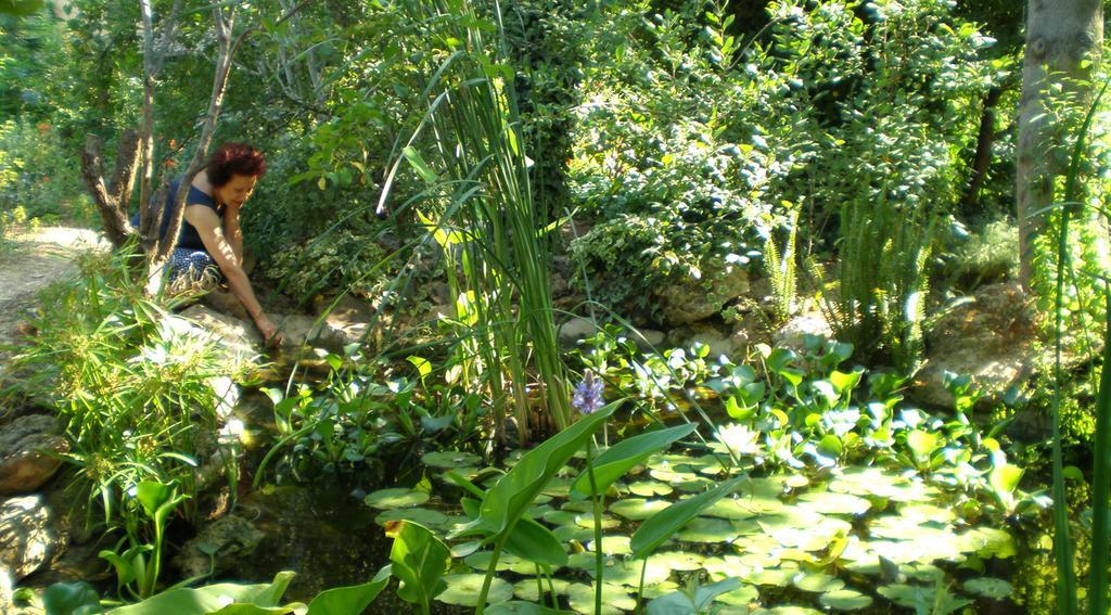 Il Glicine La Piana Dei Colli