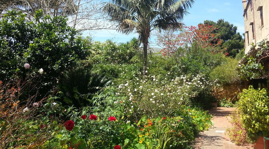 Il Glicine La Piana Dei Colli Alojamento de Acomodação e Pequeno-almoço Mondello