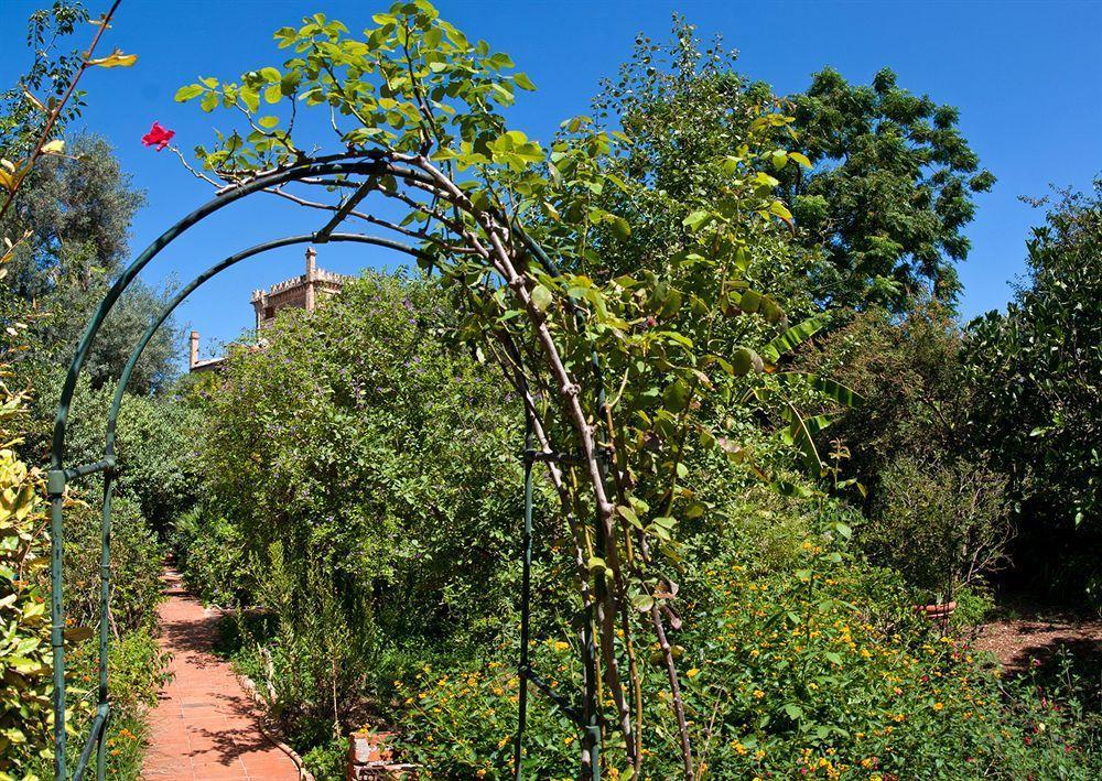 Alojamento de Acomodação e Pequeno-almoço Il Glicine La Piana Dei Colli
